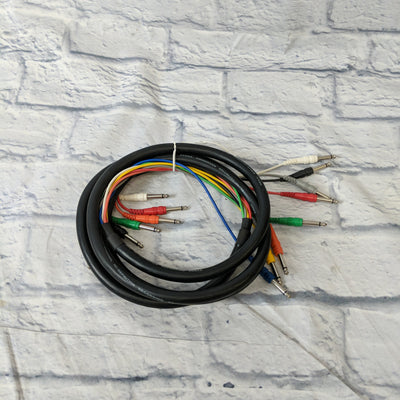 Hosa 9.9' 8-Channel Cable Snake