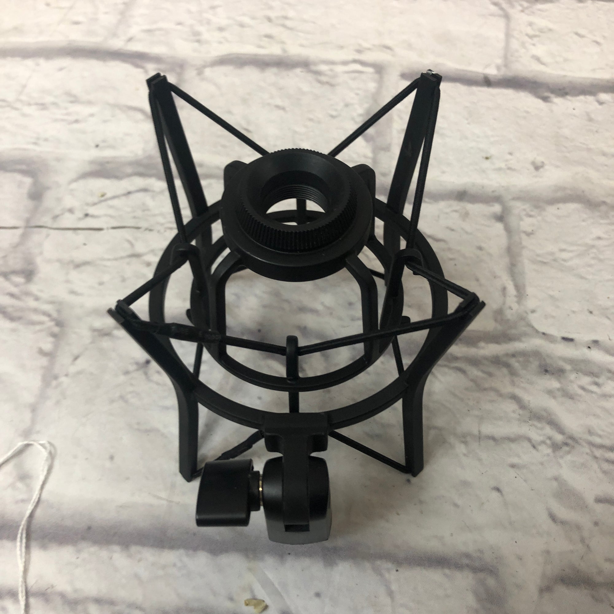 AKG P220 Large Diaphragm Condenser Microphone with Case