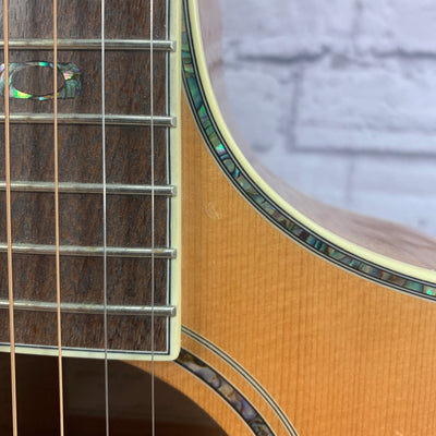 Breedlove AC250/SF Plus w/ Original Case