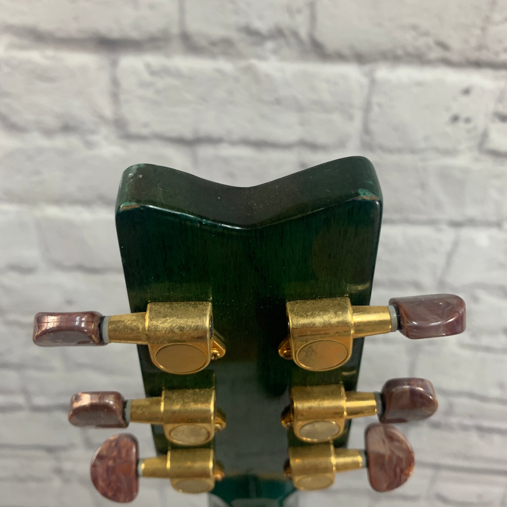 Washburn D-11 TEL Dreanought Acoustic Guitar