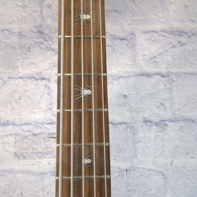 Hard Luck Kings Spider 5 String Bass