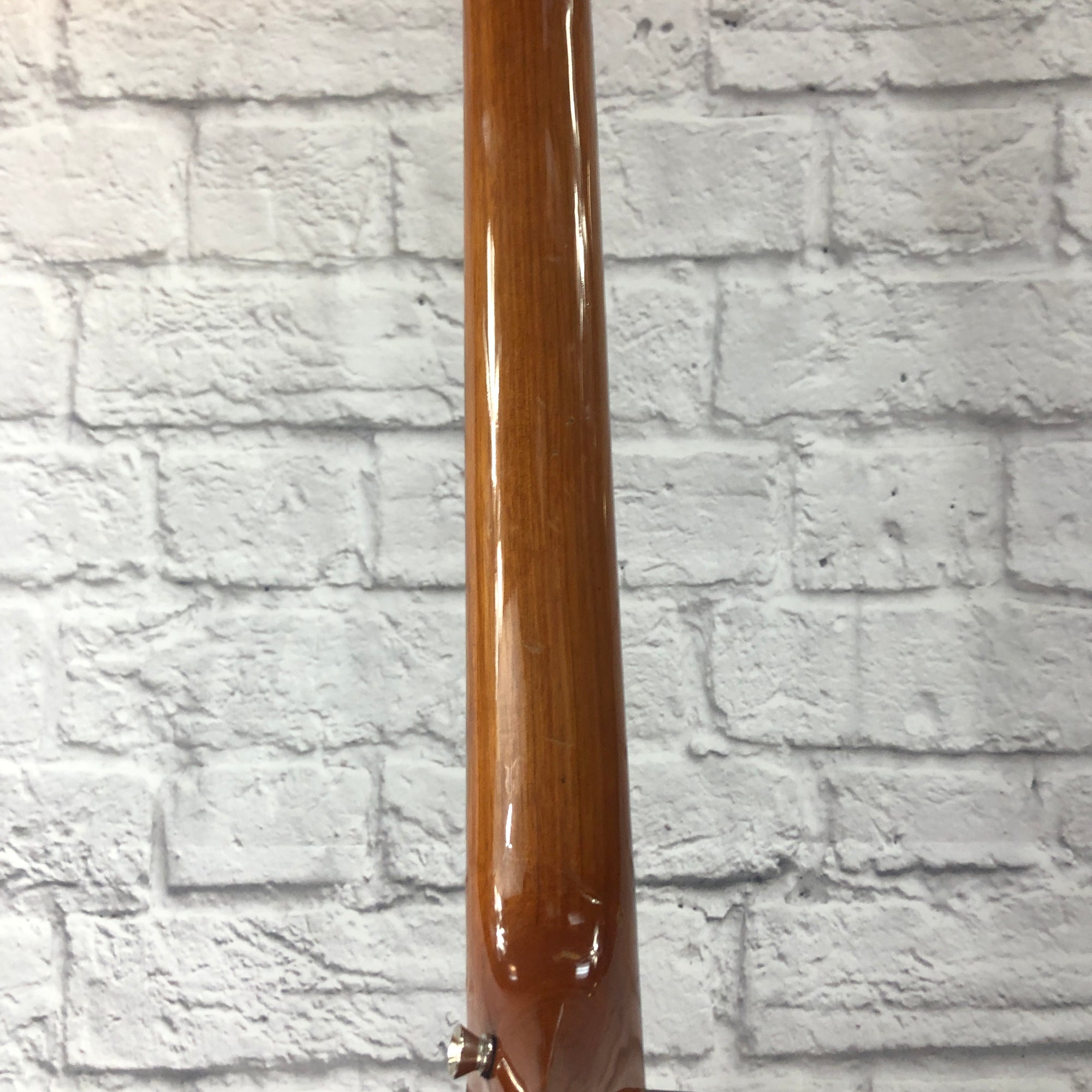 Luna Gypsy Spalt Acoustic Guitar