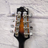 Rogue RM100A A Style Mandolin