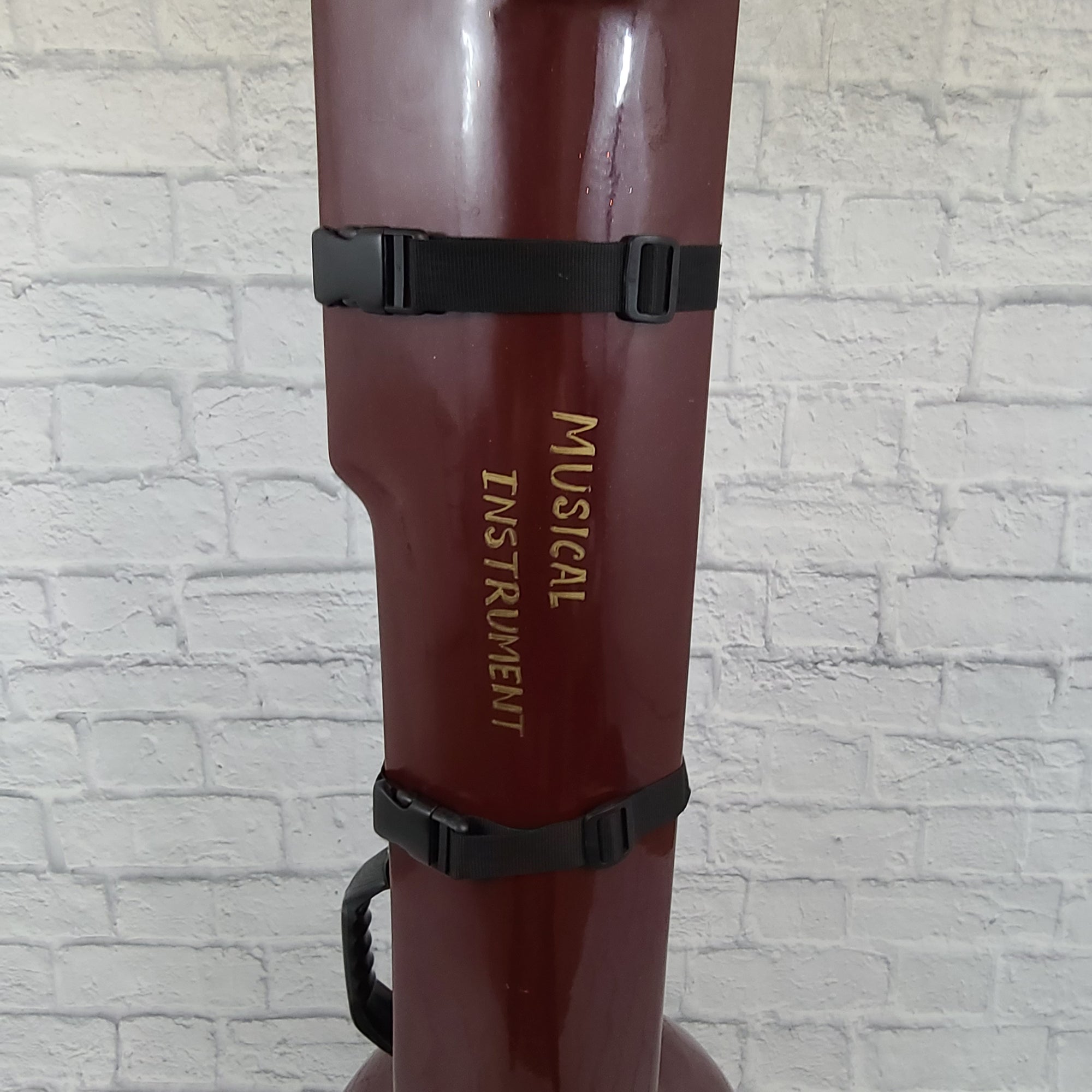 Unknown Sitar Fiber Glass Travel Case