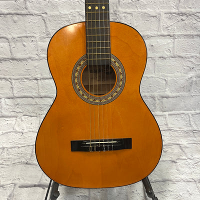 Eagle Acoustic Guitar