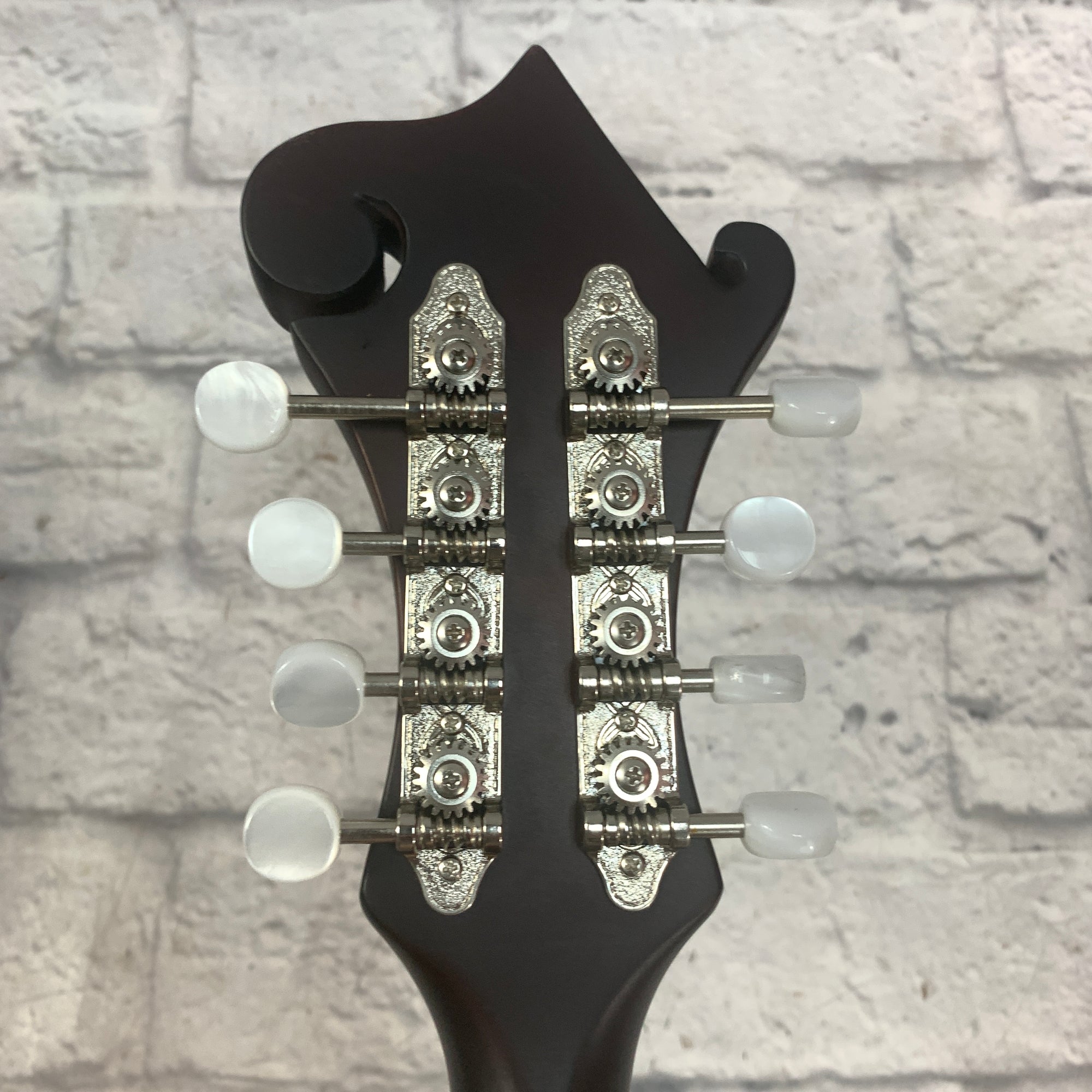 Loar Mandolin LM-31cf-BRB
