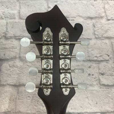 Loar Mandolin LM-31cf-BRB