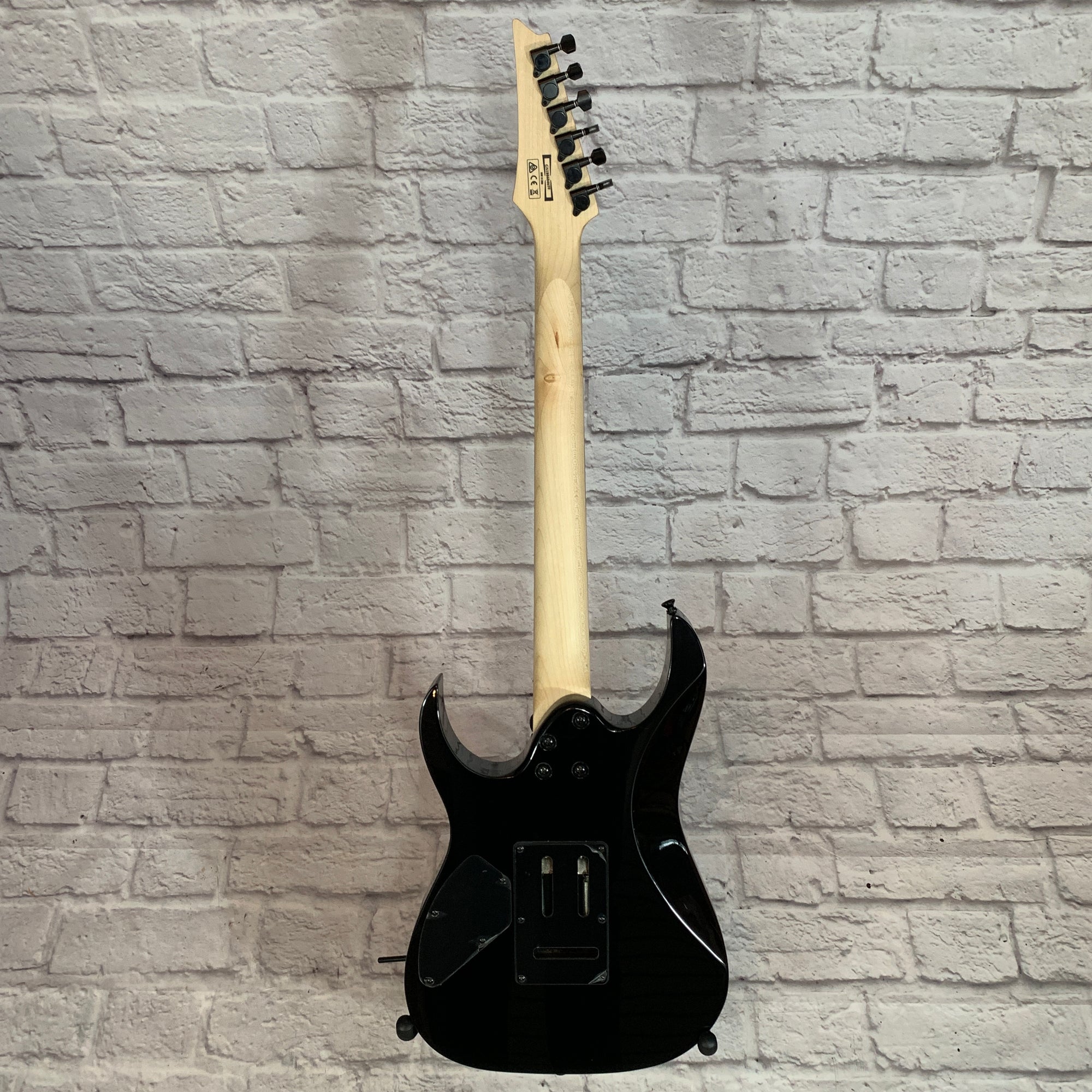 Ibanez GRG120ZW RG Electric Guitar Zebrawood Top