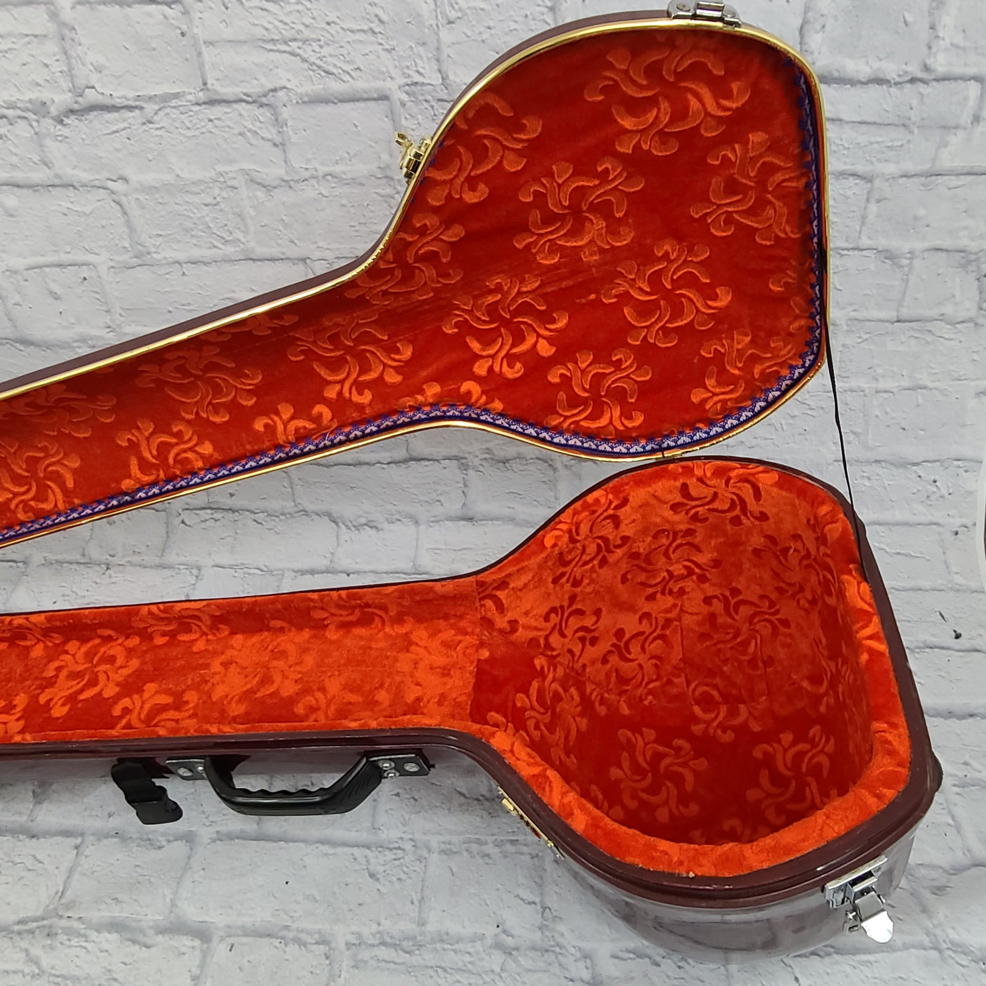 Unknown Sitar Fiber Glass Travel Case