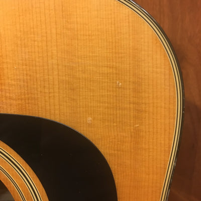 Washburn D12N 12-String Acoustic Guitar