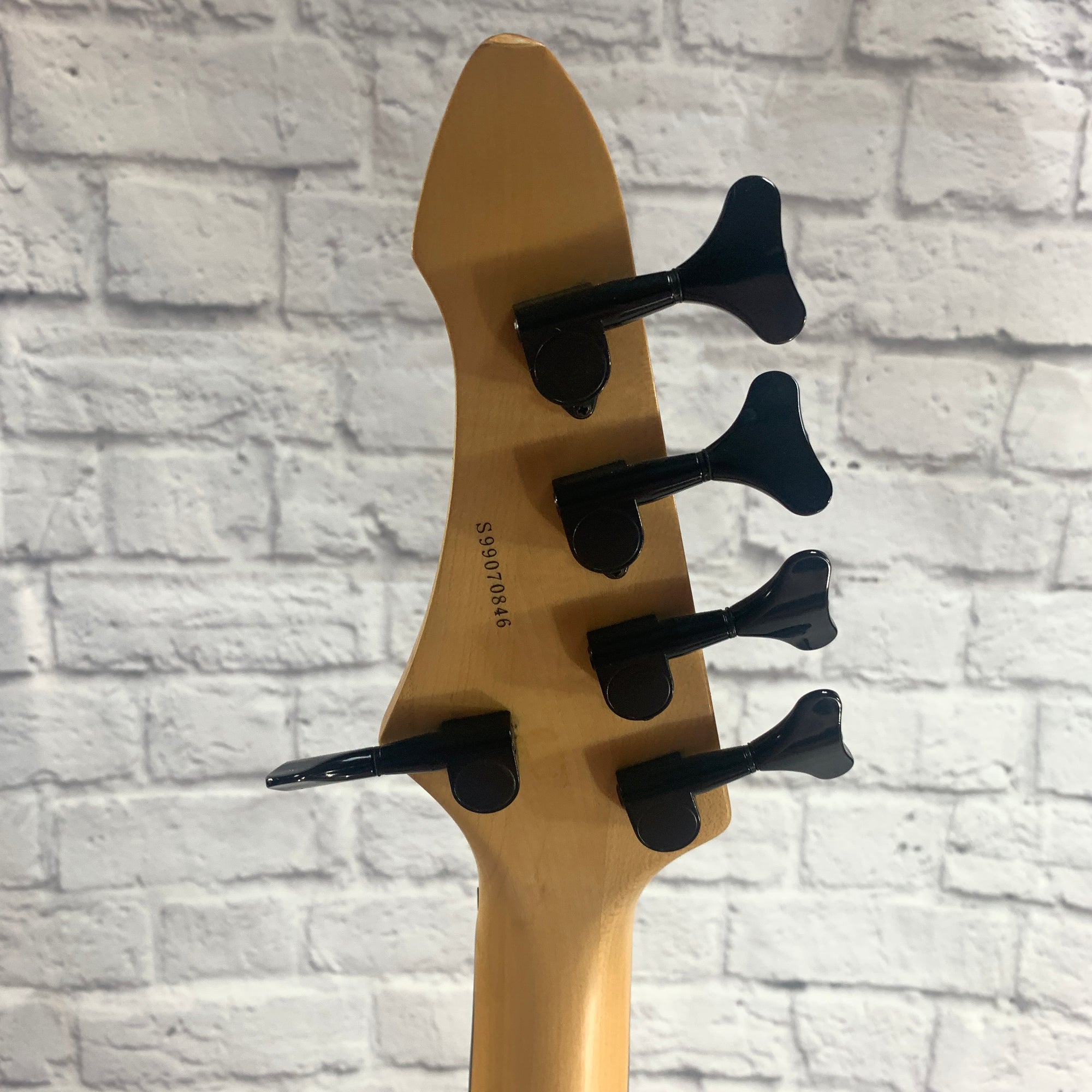 Aria Pro II Steve Bailey 5 String Fretless Bass