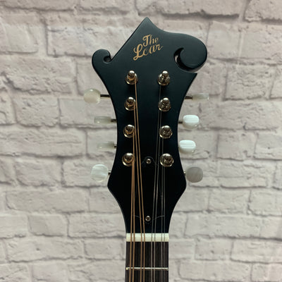 The Loar Mandolin Lm310f BRB