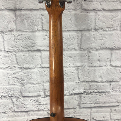 Stonebridge DS40CM Acoustic Guitar
