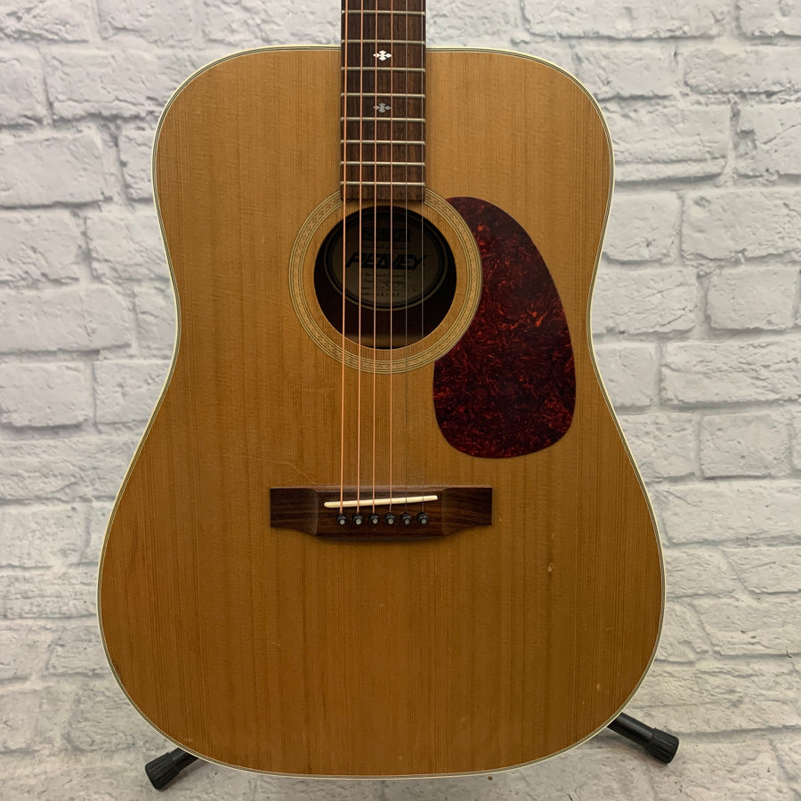 Peavey SD-9P Dreadnought Acoustic Guitar AS IS