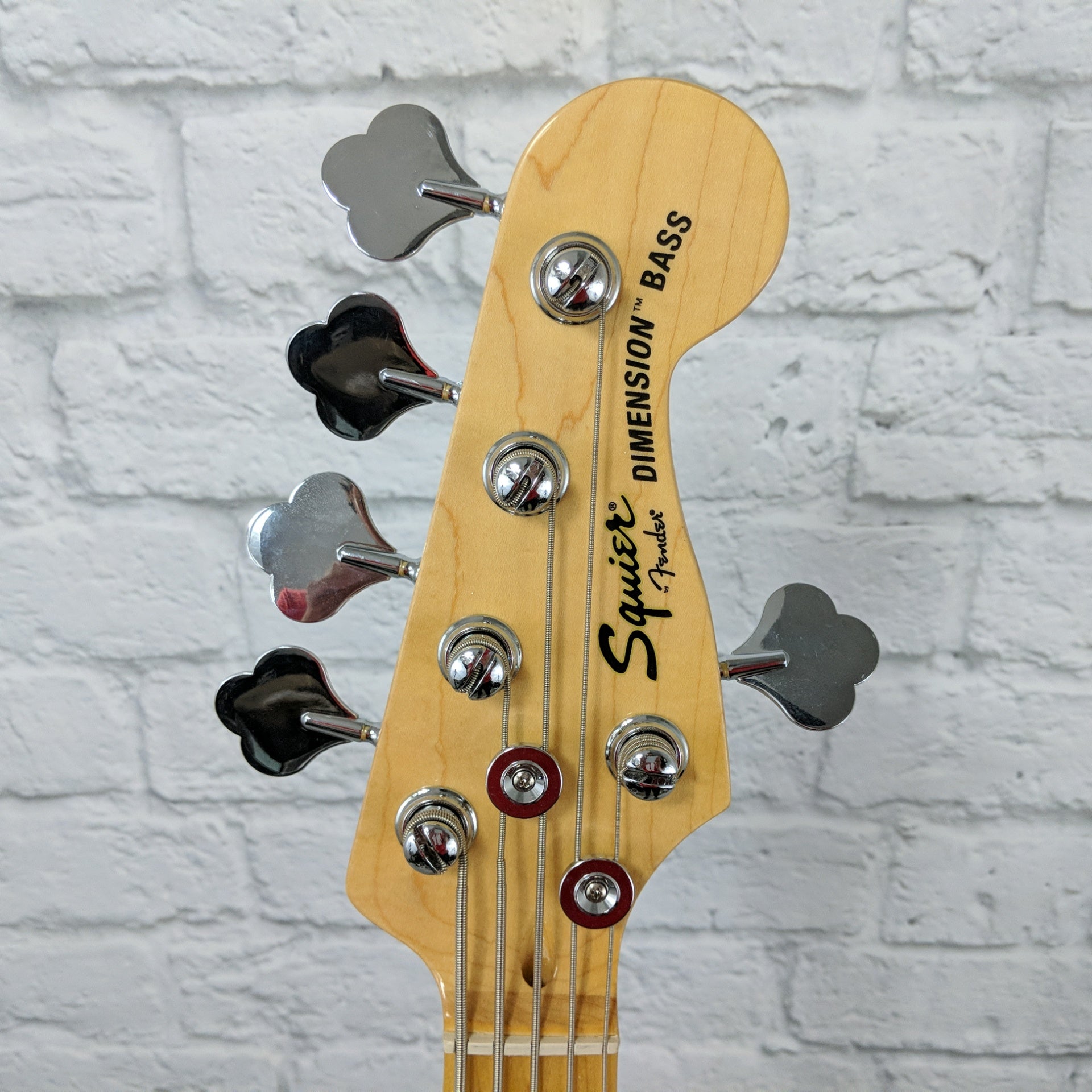 ** Squier Dimension Neck on Vintage Modified Body 5 String Bass Partscaster