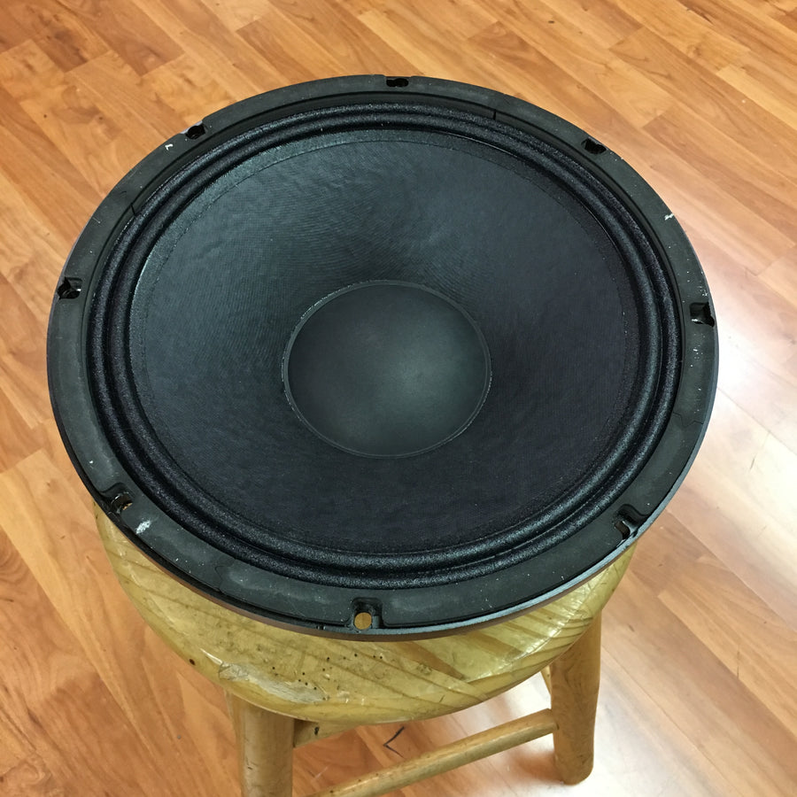 Delta Pro 12A Guitar Amp Speaker