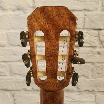 Austin AA60-C Acoustic Guitar