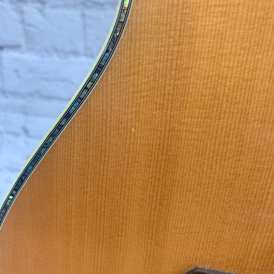Breedlove AC250/SF Plus w/ Original Case