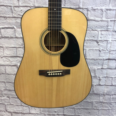 Recording King RD-318 Deluxe Dreadnaught with Padded Bag