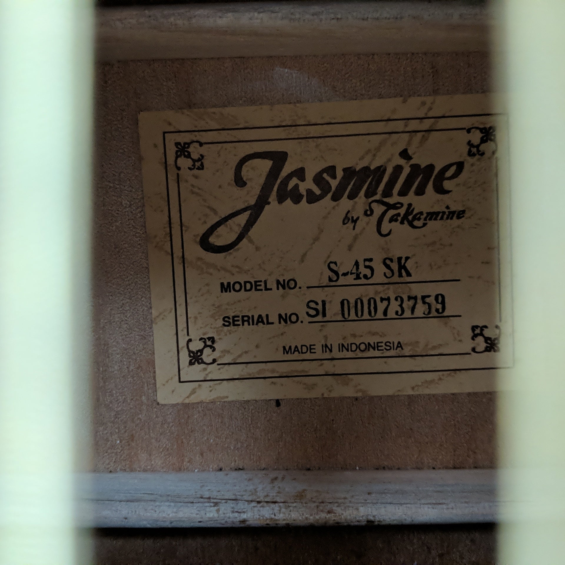 Jasmine S-45SK Starter Kit Acoustic Guitar With Gig Bag - New Old Stock!