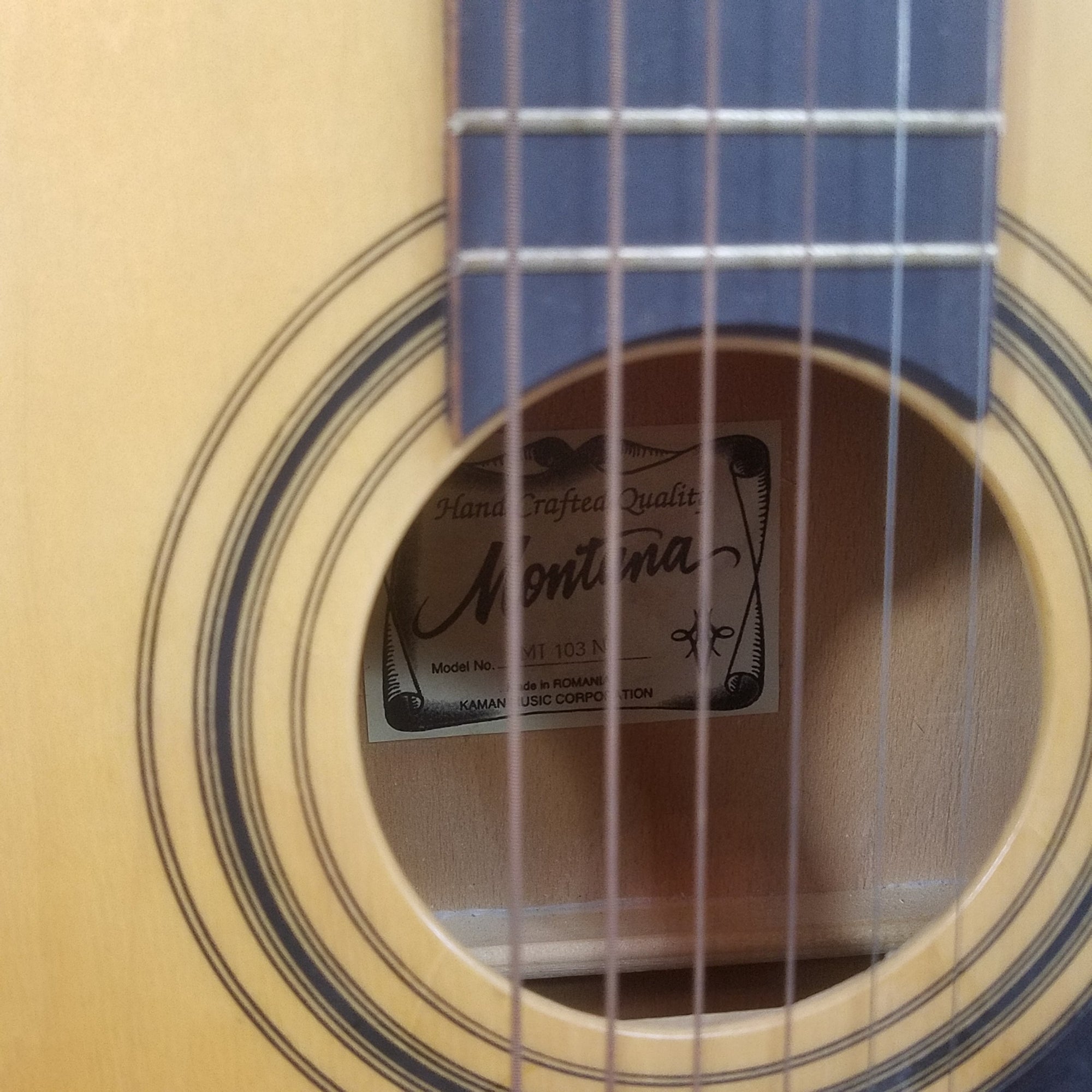 Montana MT 103N Acoustic Guitar