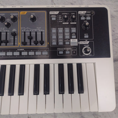 Roland SH-01 Gaia 37-Key Digital Synthesizer