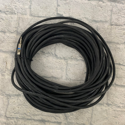 Pro Co Power Plus Livewires 100FT 1/4" Speaker Cable