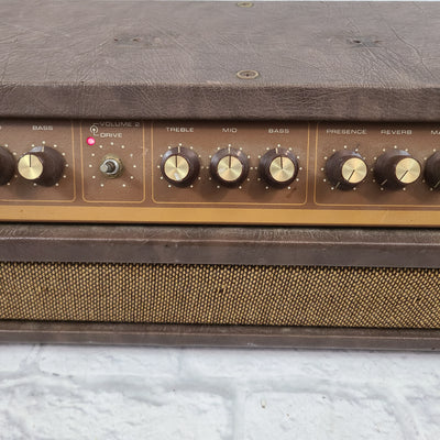 Vintage Acoustic Control Model 250 Guitar Amplifier Head