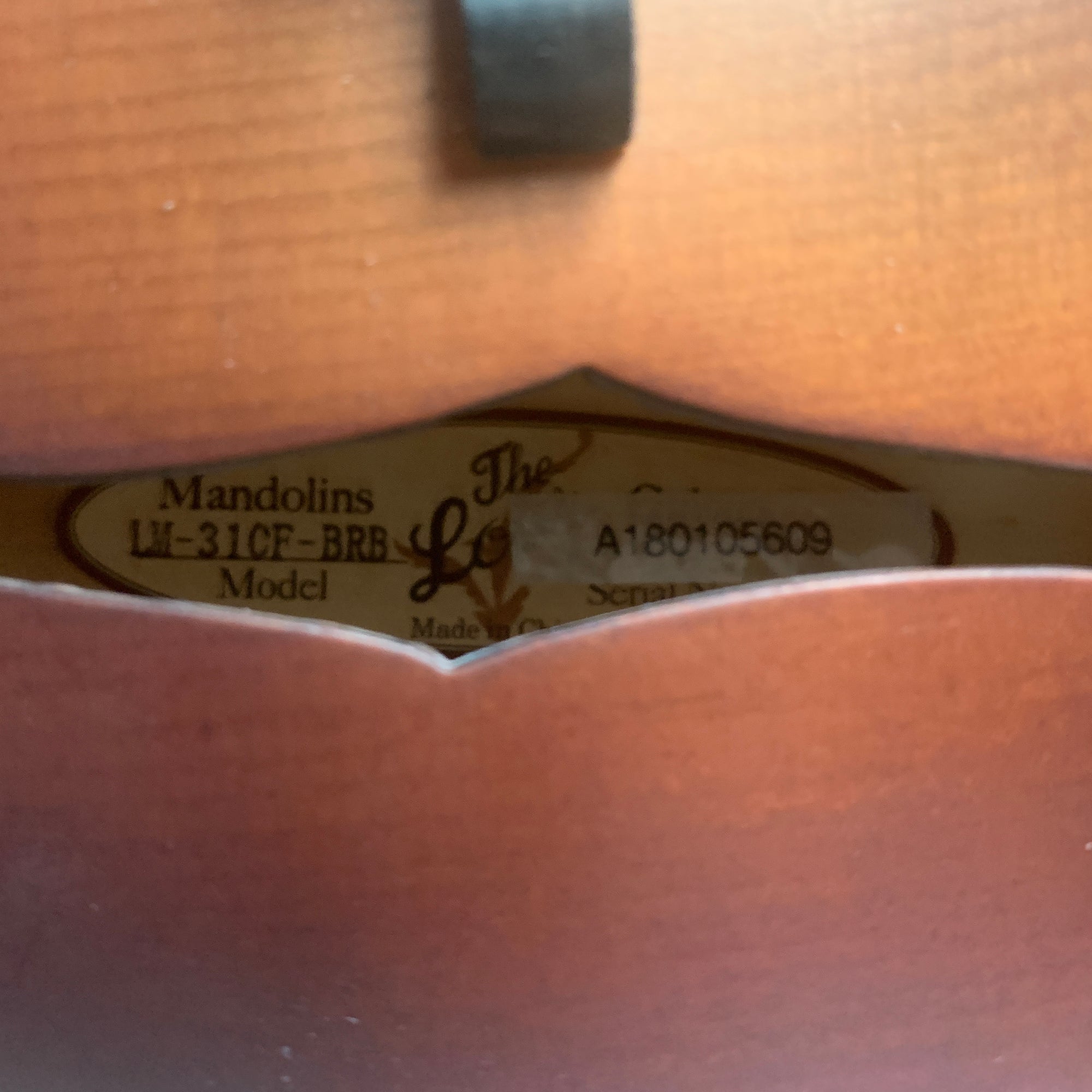 Loar Mandolin LM-31cf-BRB