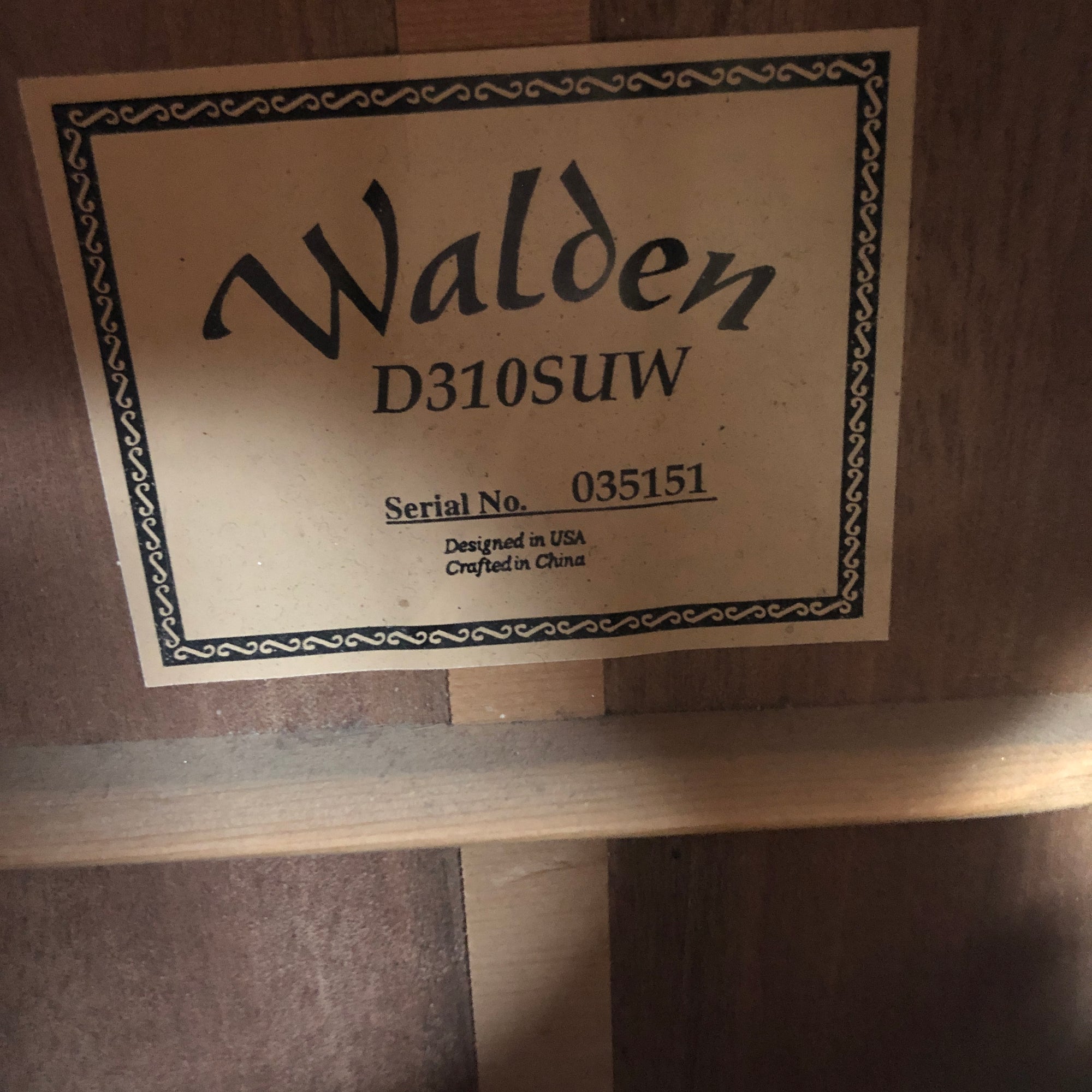 Walden D310SUW Acoustic Guitar