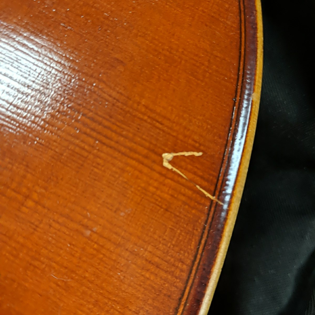 Franz Hoffman 4/4 Concert Cello with Bag and Bows