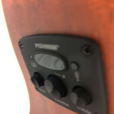 Fender Tim Armstrong Hellcat Acoustic Concert