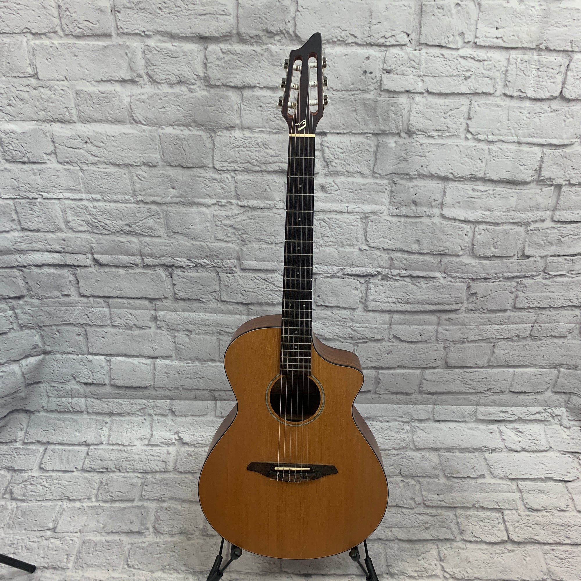 Breedlove Passport N250/Coe Acoustic
