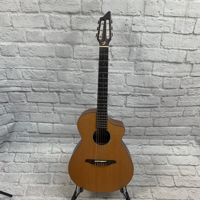 Breedlove Passport N250/Coe Acoustic