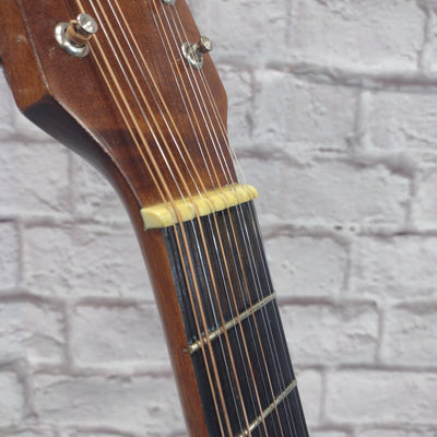 Hora W12205 12-String Acoustic Guitar with Case Made in Romania