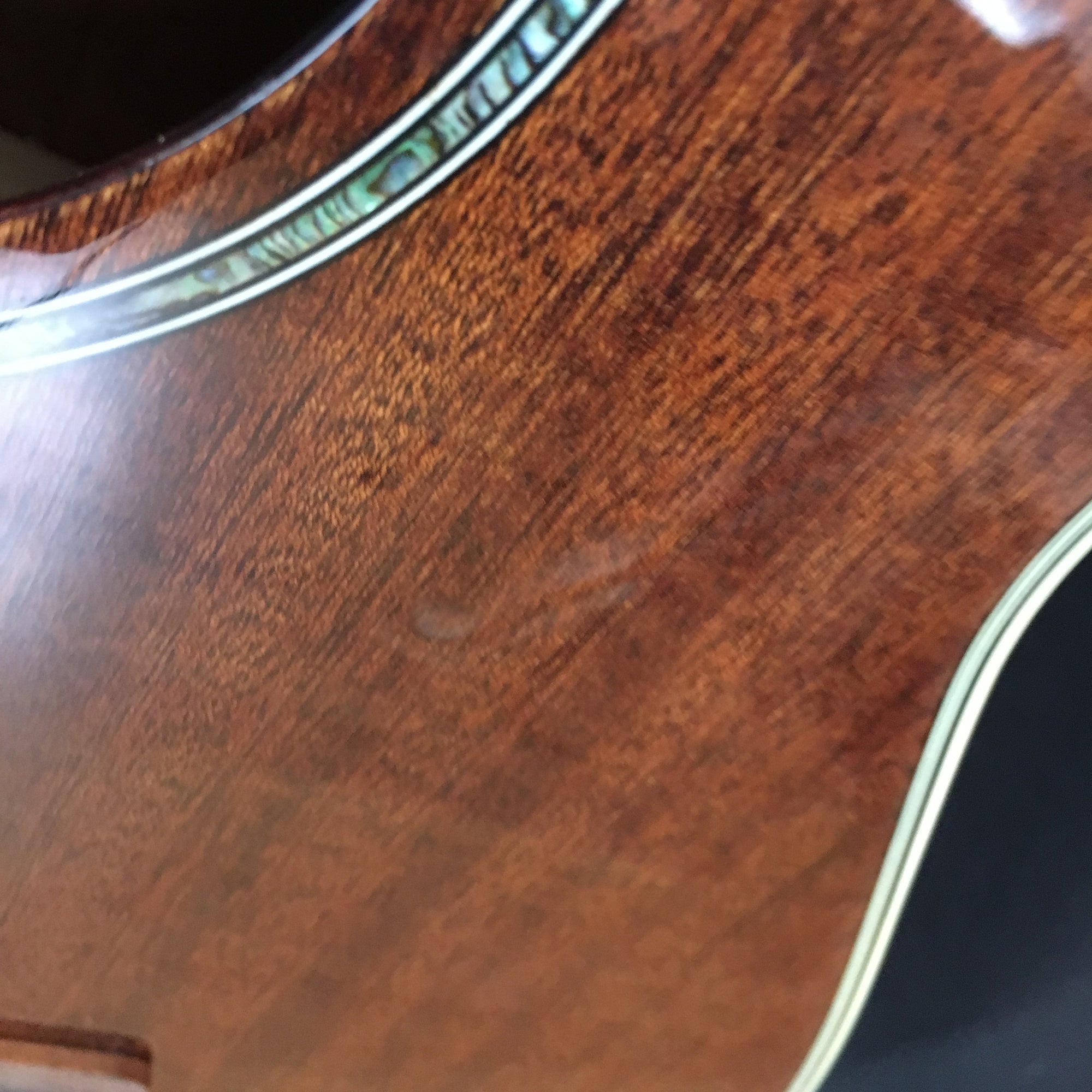 ** Ibanez AEG12II-NT Concert Acoustic Electric Guitar