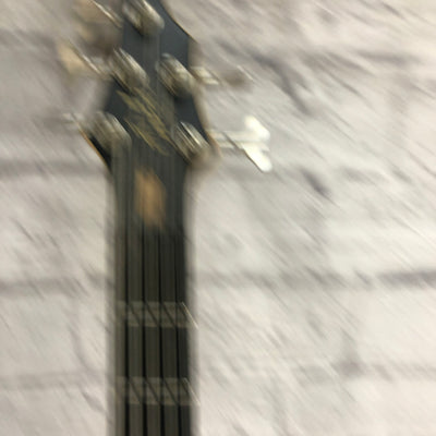 Cort Curbow 5 String Bass