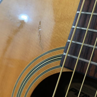 Peavy LP-001 Acoustic Guitar
