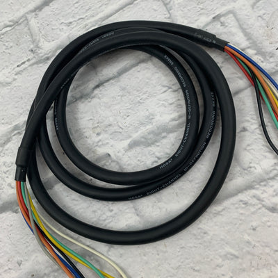 Hosa CPP-803 8-channel 1/4-inch TS Male Snake - 9.9 foot