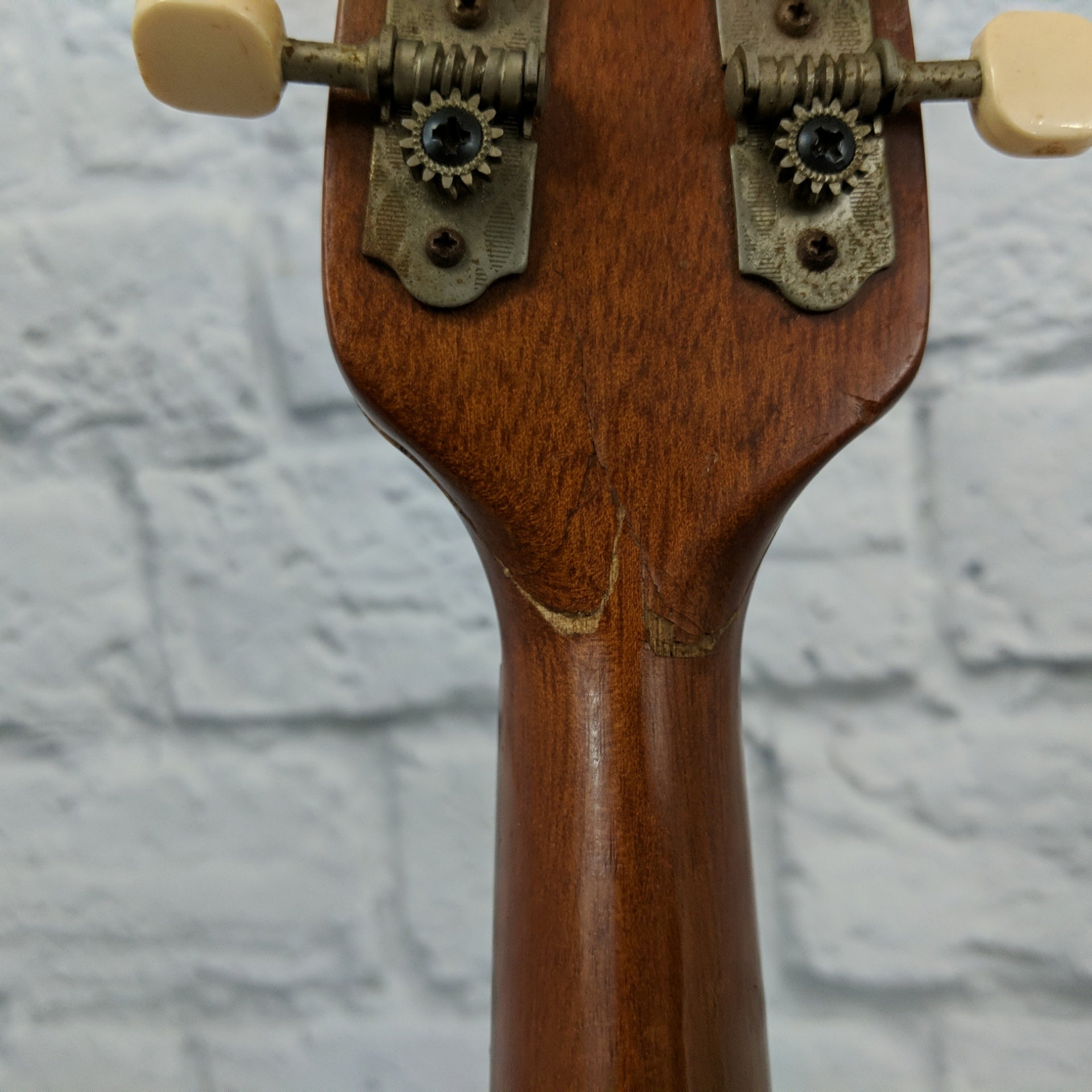 1975 Suzuki Mandolin with Silver Hardshell Case