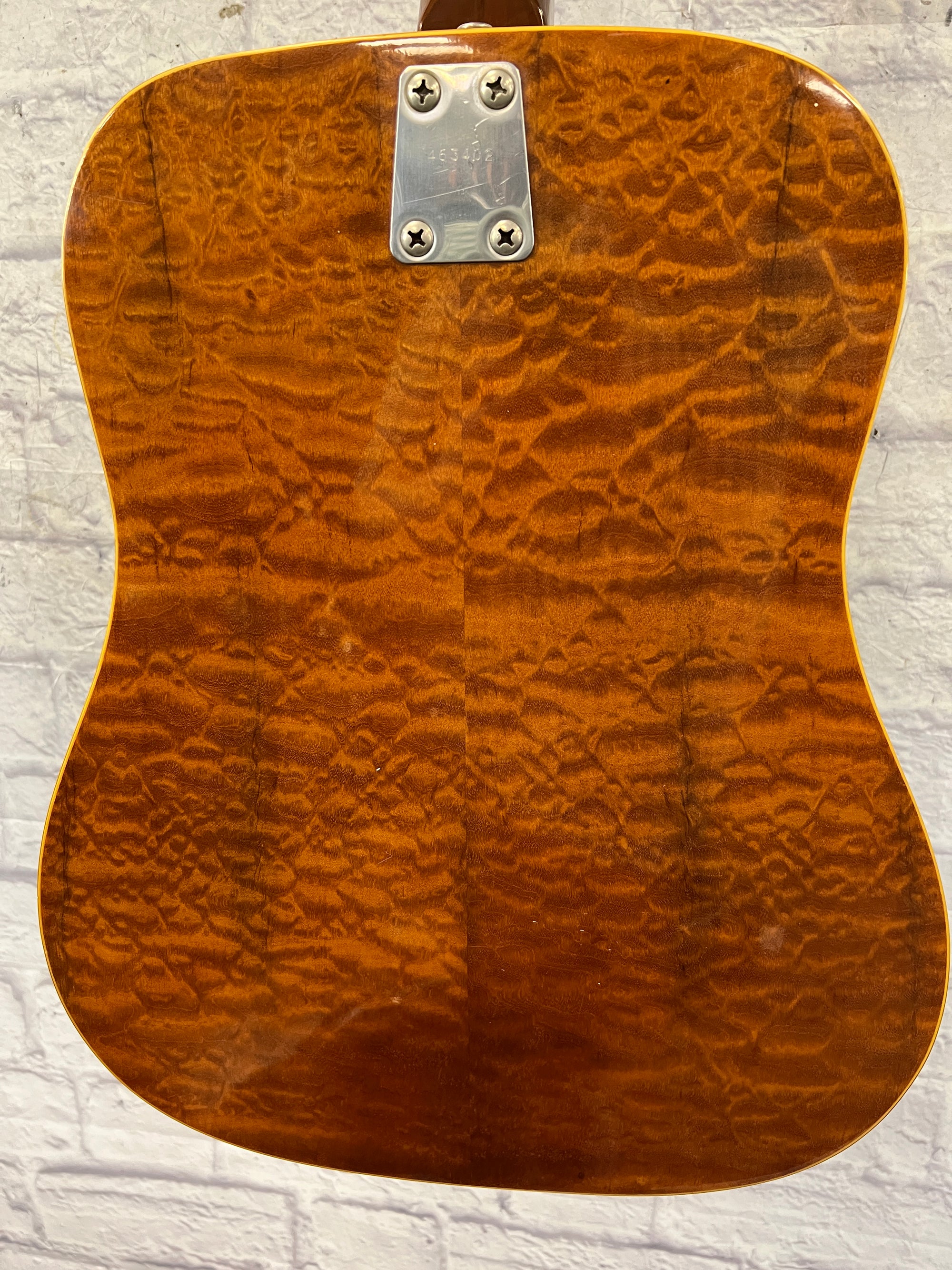 EKO Ranger 6 Acoustic Guitar Made in Italy - Evolution Music