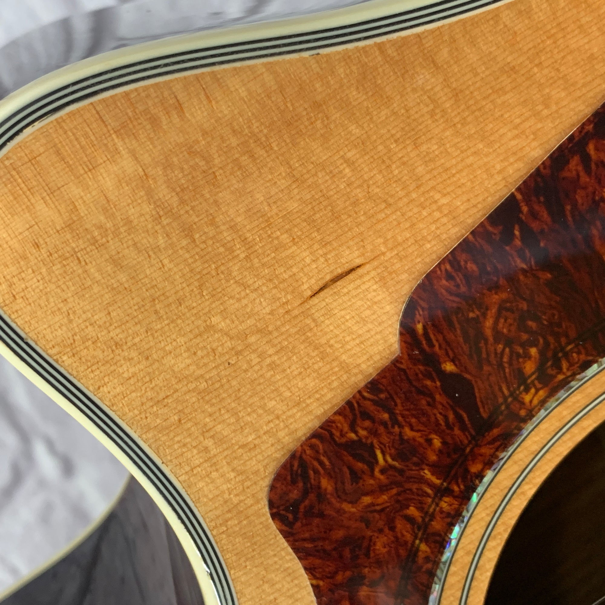 D'Angelico Premier Fulton 12-String Acoustic/Electric