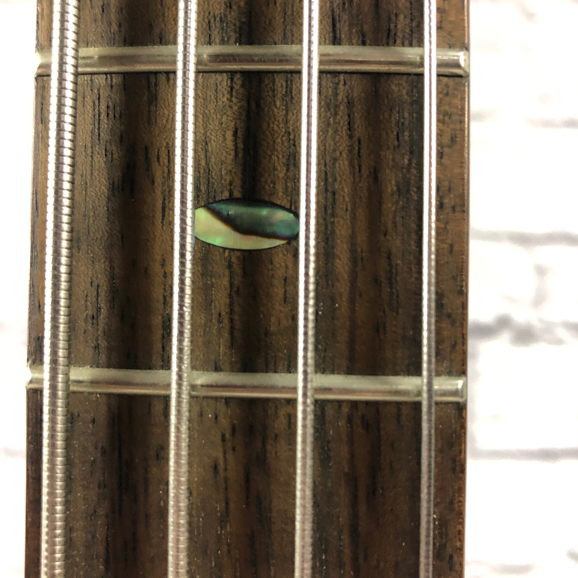 Ibanez SR500 4-String Bass with Case