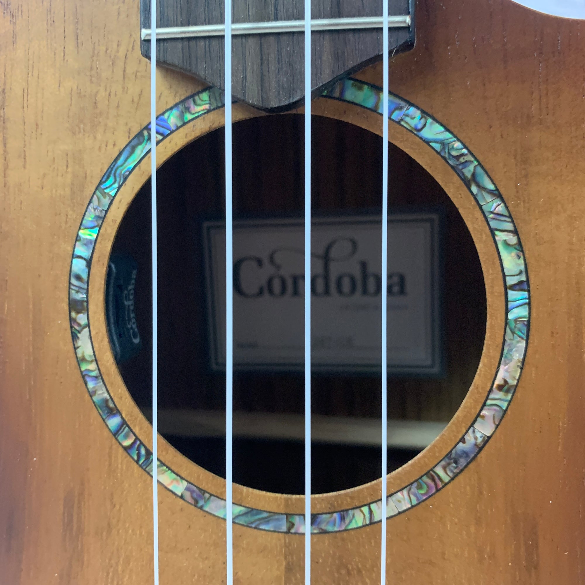 Cordoba 28T-CE Tenor Ukulele