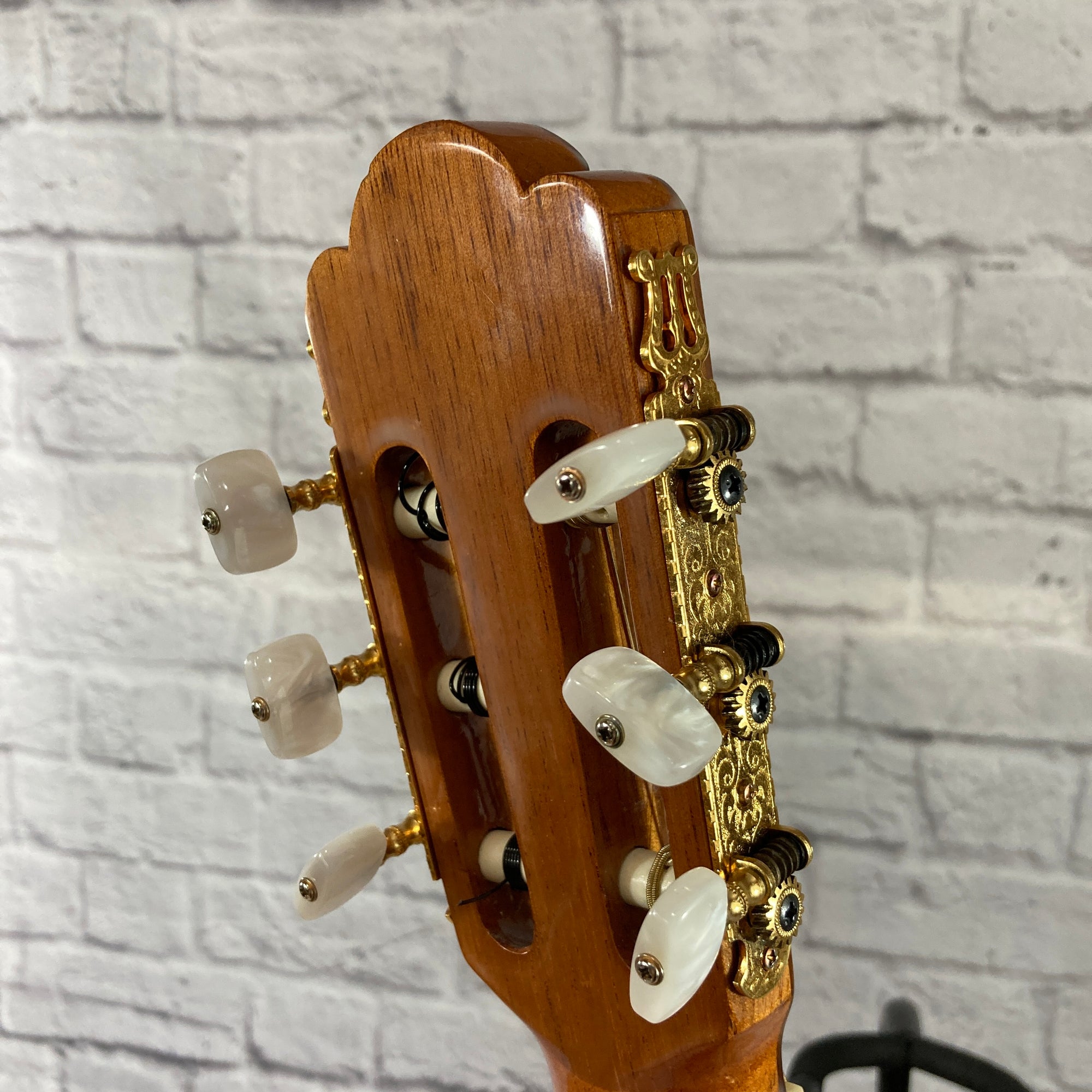 Pavan TP-10 Classical Acoustic Guitar