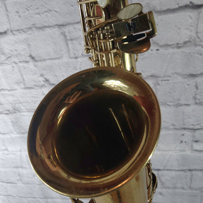 Roy Benson AS 101 Alto Saxophone - 03DF24222
