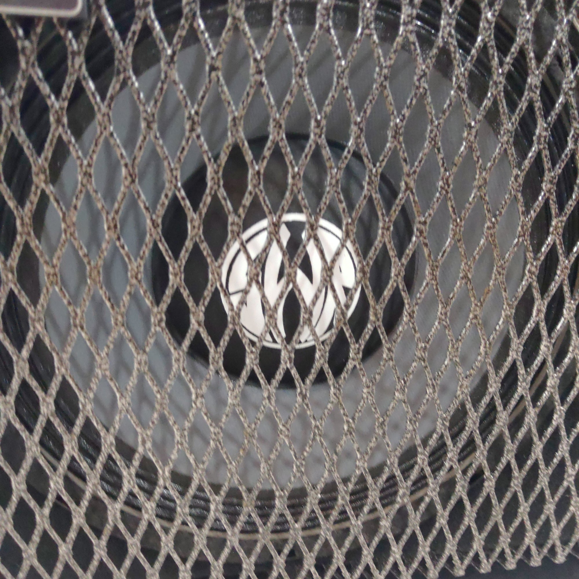 SWR Workingman's 1x10T Bass Cab