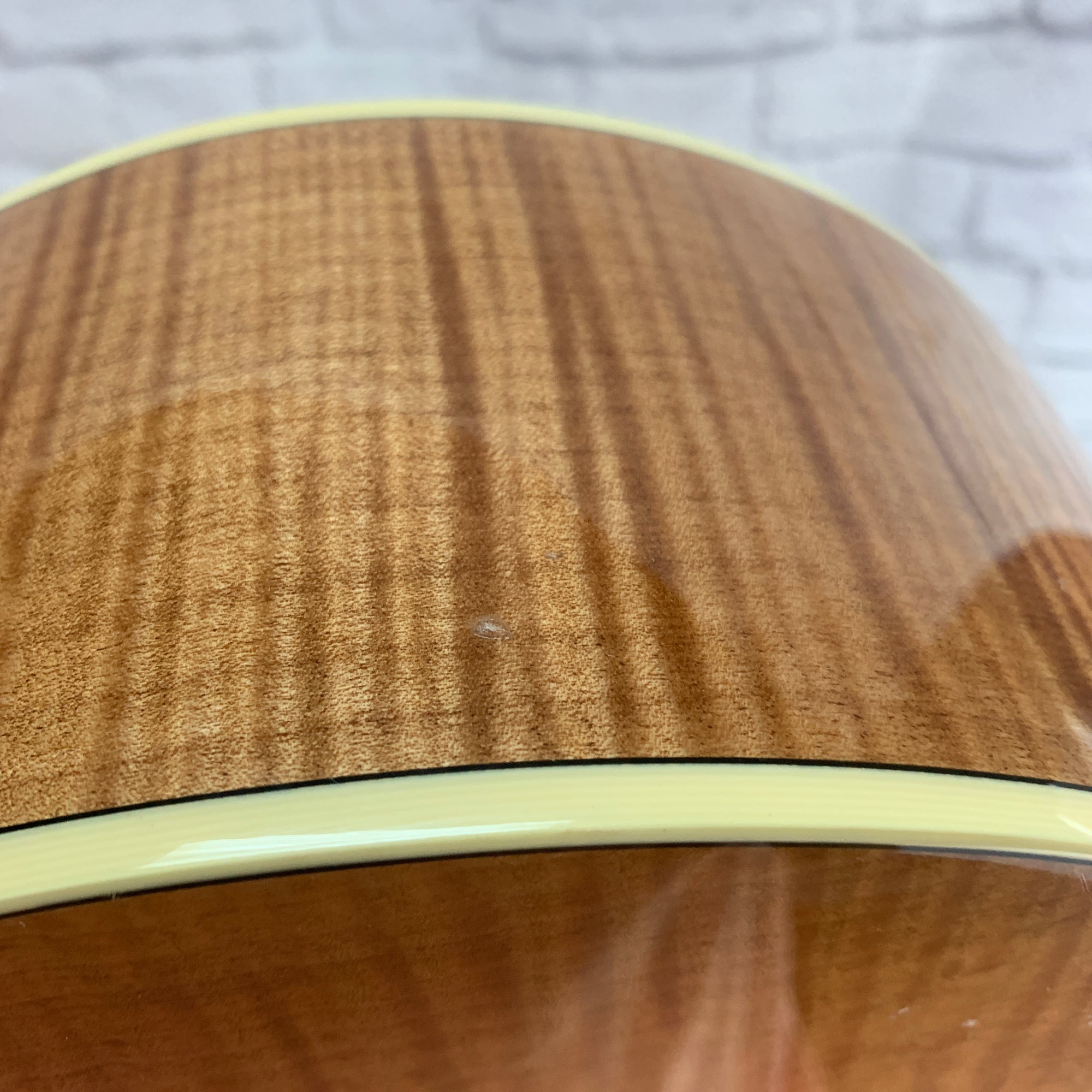 Breedlove AC250/SF Plus w/ Original Case