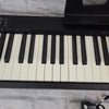 Roland FP-10 88-Key Hammer Action Digital Piano Keyboard