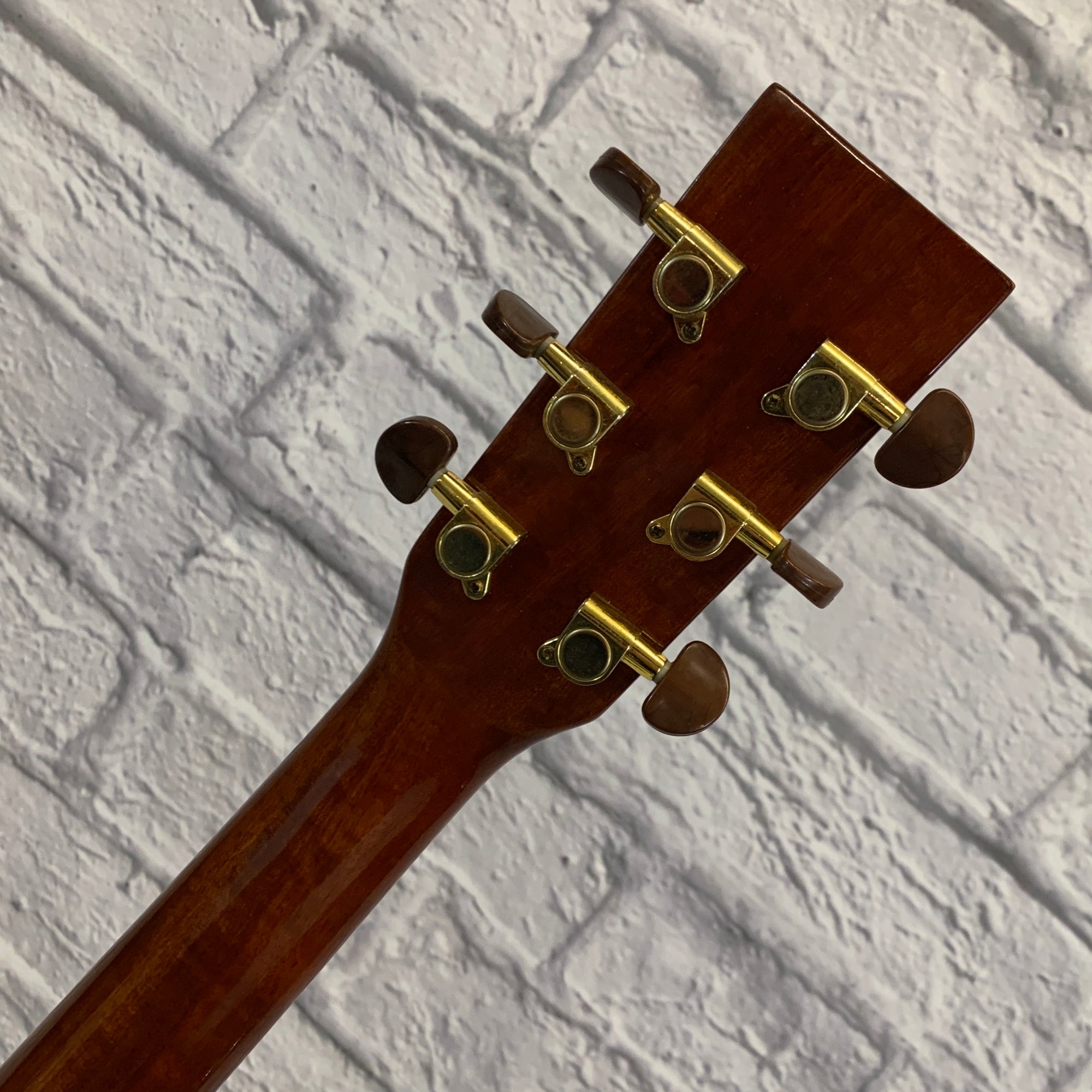 Ventura V6NAT Acoustic Guitar Natural